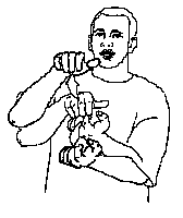 "Nilpferd" in Gebärdensprache